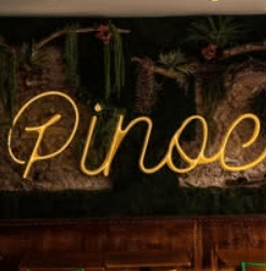 logo pinoc