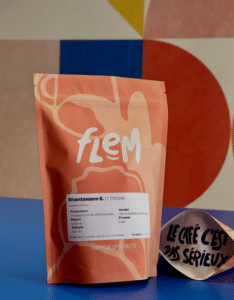flem 3